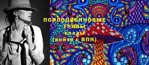 индика Абдулино