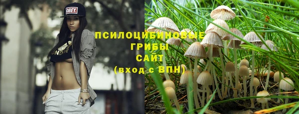 индика Абдулино
