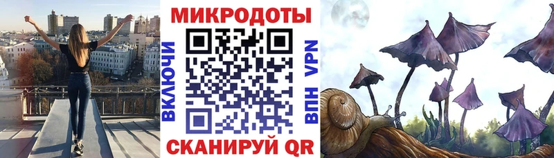 купить наркоту  Кедровый  Галлюциногенные грибы ЛСД 