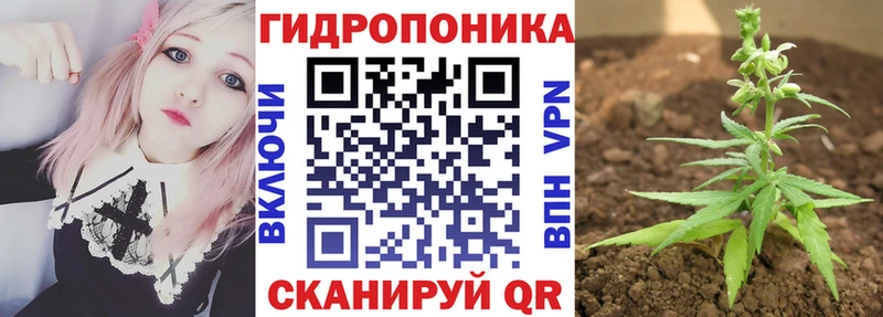 Бошки марихуана THC 21%  Кедровый 